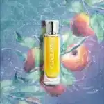 Casablanca 100Ml Edp By Swiss Arabian 7 Soghaat Gifts &Amp; Fragrances Casablanca Perfume Eau De Parfum 100Ml By Swiss Arabian